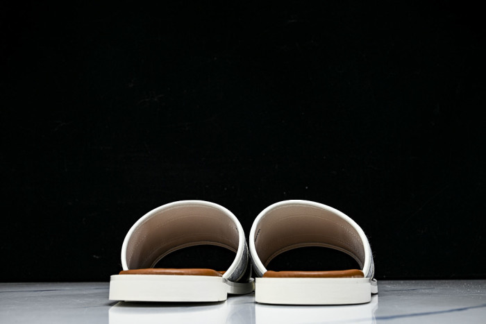 D1R* SLIDE copshoe DR-SLIDE 036