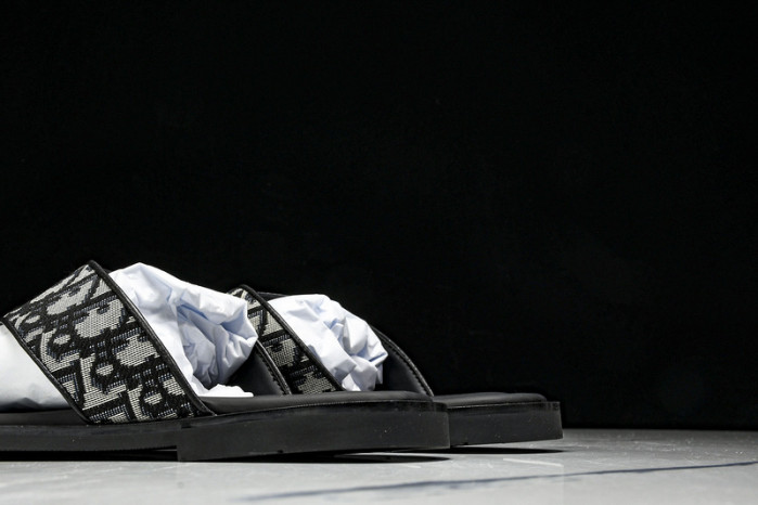 D1R* SLIDE copshoe DR-SLIDE 015