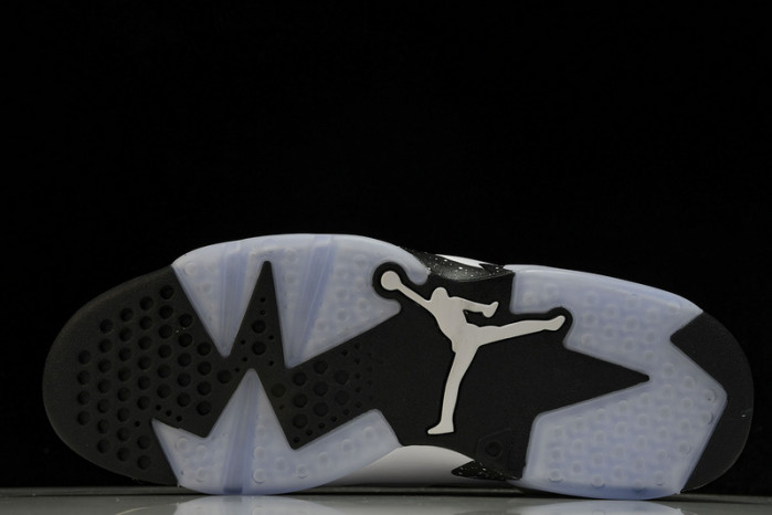 air jordan 6 "reverse oreo" ct8529-112